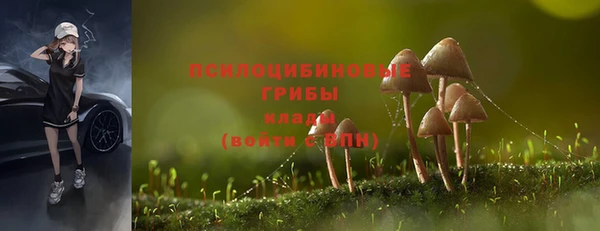 дурь Арсеньев