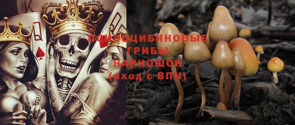 дурь Арсеньев